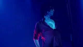 Tom Hannes & The Sad Beats - Stagger Lee (Nick Cave Tribute)
