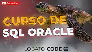 Curso de SQL Oracle - Describe, Alter Table Add, Update e Distinct