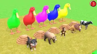 [Long Slide Game] with Dog Bear Monkey Lion Cow 3D Animal Game Funny 3D Animals. #3