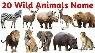 बच्चों के लिए 20 जंगली जानवरों के नाम | Wild Animals Name | Kids Learning Video