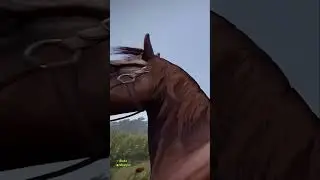 trying to capture naked with the new rust update #rust #facepunch #stimpee