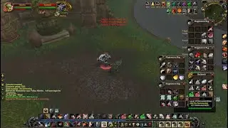 Hardcore Warrior solo Cyclonian level 40 world buffs