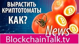 BlockchainTalk News 19.03.18