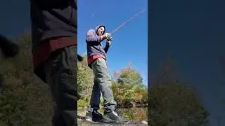 Fish Thearpy. #bassfishing #fishing
