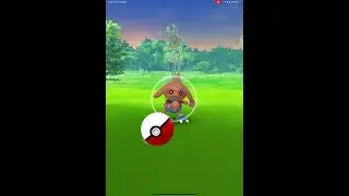 Each time I don&rsquo;t catch a Pok&eacute;mon I Transfer a Shiny