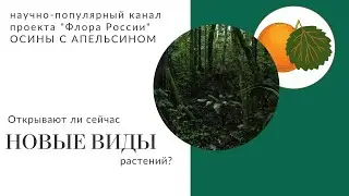 Открыть новый вид растений в 2023 году: возможно ли?