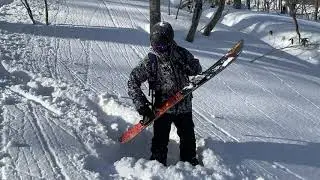 Review - Burton Step Ons In Powder