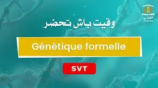 Génétique Formelle Bac Sciences : Dominance, Localisation des Gènes + Applications sur Sujets de Bac