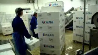 Salmar Paletering.AVI