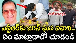 YS Jagan Exellent Words On Sr.NTR | YSRCP : PDTV News