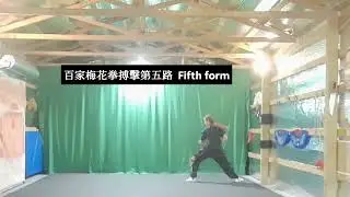 Baijia Mei hua quan combat forms 百家梅花拳搏擊