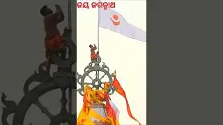🚩flag changing rituals on shree jagannath temple puri#live#love#puri#jagannath#shortsviral(11.01.26