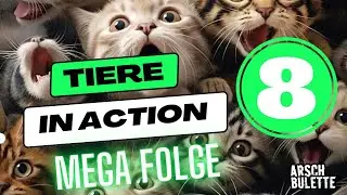 TIERE IN ACTION 8 | MEGA FOLGE ‼️‼️