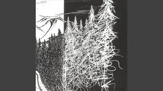Don't Go into the Woods