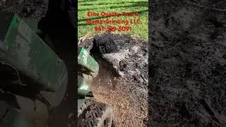 Grinding a burnt slash pine stump