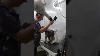 wall mounted fluff dryer.