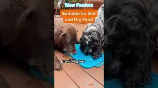 Wet or Dry? Slow Feeders for Every Meal #healthydogs #slowfeederdogbowl