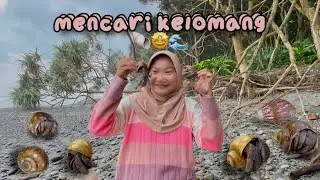 mencari kelomang di pantai
