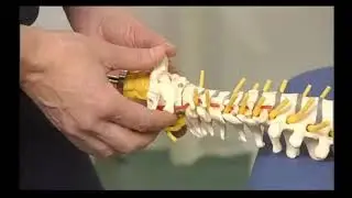 Side Flexion: