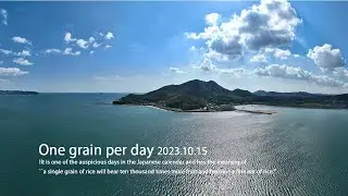 One grain per day 2023.10.15
