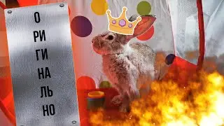 Bunny does not like banality / Кролик не любит банальность