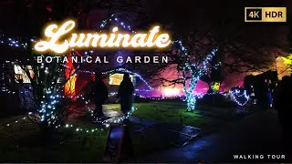 Luminate Birmingham 2024: Stunning Lights at Botanical Gardens 4K | Foggy Evening