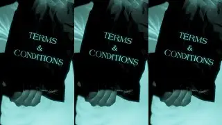 Terms & Conditions (Extended Version)