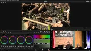 Revision 2015 - Seminar - Color Grading - Theory And Practice