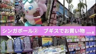 【シンガポール②】ブギスでお買い物　　アラブストリート　　Singapore Arab Street Walk