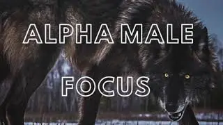 ALPHA MALE FOCUS  》Theta Brainwaves  》POWERFUL SUBLIMINAL AUDIO 》*ONLY For Alpha Males
