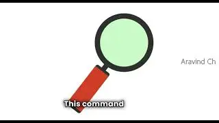 Lesson 8 Quick WHOIS Lookup Guide with DMirty