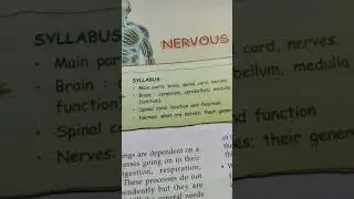 Nervous system