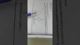 Witts and Quinonoid Theory