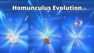 Tips for leveling up your Homunculus | ROX Ep.6