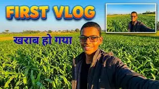 मक्का की फसल और गाँव की असली ज़िंदगी