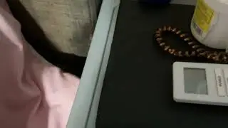 Let’s get 1k subs and this is for bushyfn my favorite YouTuber