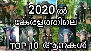 Top 10 popular Elephants in Kerala and their details | കേരളത്തിലെ ആദ്യത്തെ 10 പ്രശസ്ത ആനകൾ