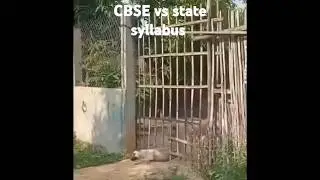 CBSE vs State syllabus #shorts #cbse #comedy
