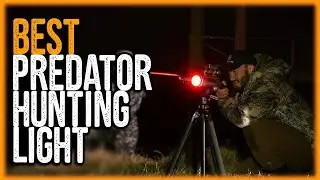 Best Predator Hunting Lights 2020 - Top 3 Amazing Predator Hunting Light Reviews