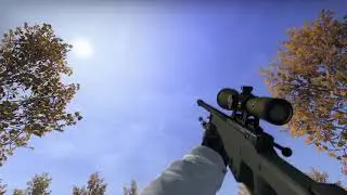 CS:GO gun sync pack ( 720p 60fps )