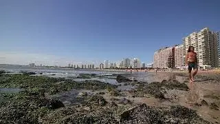 Punta del Este Playa Mansa 02