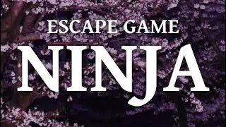 TRISTORE: 닌자(NINJA) 공략 full walkthrough