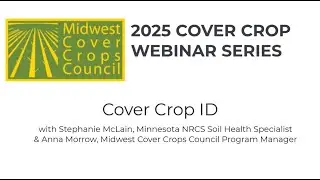 Cover Crop Identification & Using the Field Guide