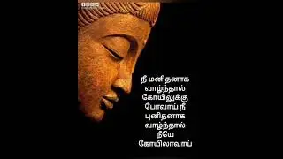 Buddha quotes Tamil # life quotes shorts