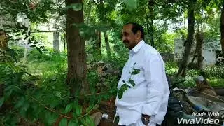 Ramreddy damodar Reddy