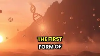 RNA World Hypothesis Explained: The Origin of Life&rsquo;s First Genetic Material