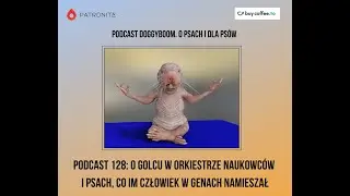 Podcast 128: O golcu w orkiestrze naukowc&oacute;w i psach, co im człowiek w genach namieszał