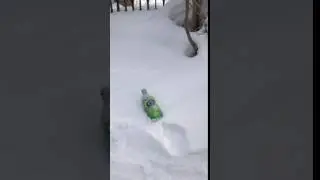 Fanta Melon Advert (Might not be official)