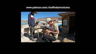 Saving beach puppies! #sailors #sailingvlog #vetlife