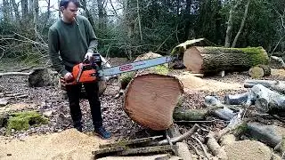 husqvarna 385xp